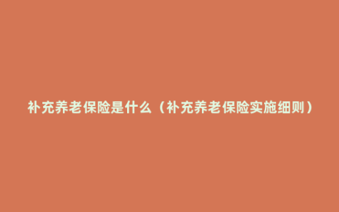 补充养老保险是什么（补充养老保险实施细则）