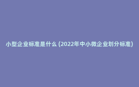 小型企业标准是什么 (2022年中小微企业划分标准)