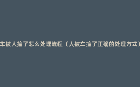 车被人撞了怎么处理流程（人被车撞了正确的处理方式）