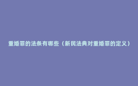 重婚罪的法条有哪些（新民法典对重婚罪的定义）