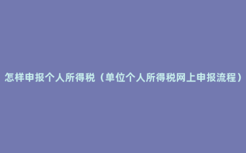 怎样申报个人所得税（单位个人所得税网上申报流程）