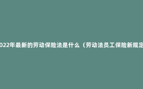 2022年最新的劳动保险法是什么（劳动法员工保险新规定）