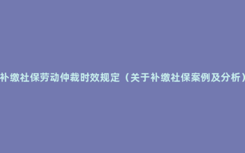 补缴社保劳动仲裁时效规定（关于补缴社保案例及分析）