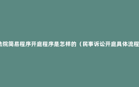 法院简易程序开庭程序是怎样的（民事诉讼开庭具体流程）