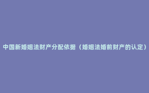 中国新婚姻法财产分配依据（婚姻法婚前财产的认定）