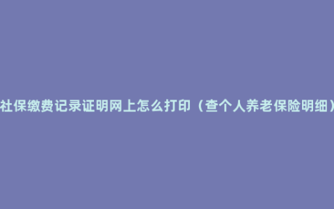 社保缴费记录证明网上怎么打印（查个人养老保险明细）