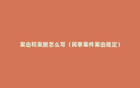 案由和案据怎么写（民事案件案由规定）