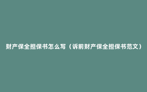 财产保全担保书怎么写（诉前财产保全担保书范文）