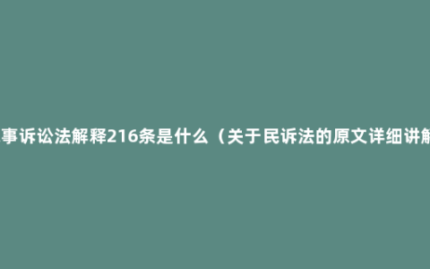 民事诉讼法解释216条是什么（关于民诉法的原文详细讲解）