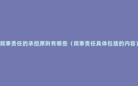 民事责任的承担原则有哪些（民事责任具体包括的内容）