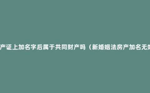 房产证上加名字后属于共同财产吗（新婚姻法房产加名无效）