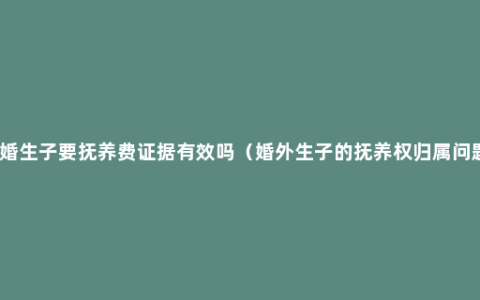 非婚生子要抚养费证据有效吗（婚外生子的抚养权归属问题）