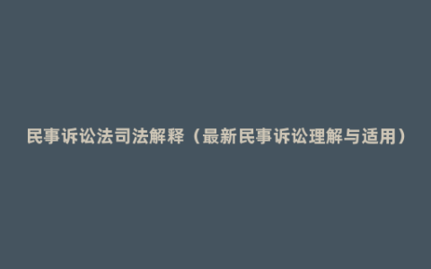 民事诉讼法司法解释（最新民事诉讼理解与适用）