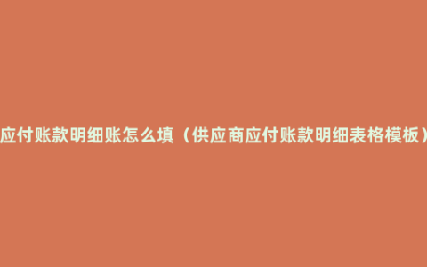 应付账款明细账怎么填（供应商应付账款明细表格模板）