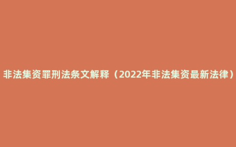 非法集资罪刑法条文解释（2022年非法集资最新法律）