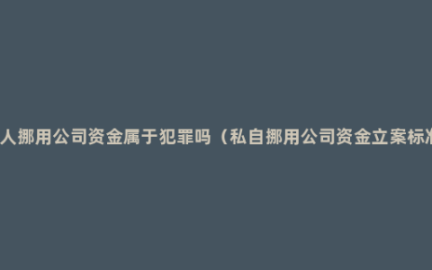 个人挪用公司资金属于犯罪吗（私自挪用公司资金立案标准）