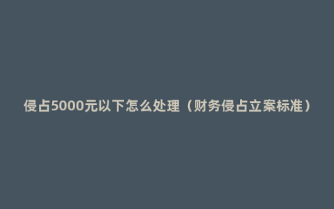 侵占5000元以下怎么处理（财务侵占立案标准）