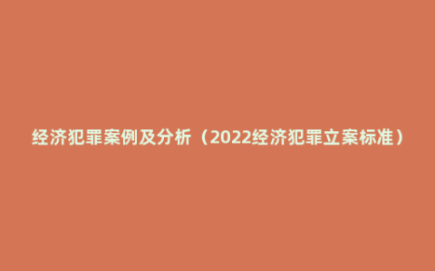 经济犯罪案例及分析（2022经济犯罪立案标准）