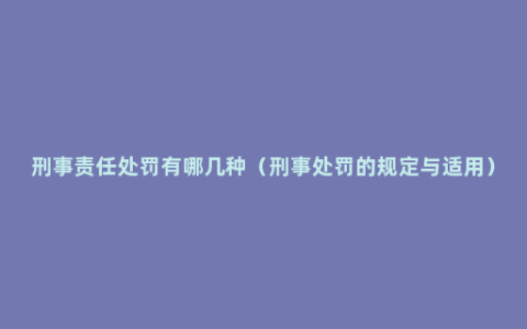 刑事责任处罚有哪几种（刑事处罚的规定与适用）