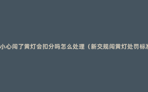 不小心闯了黄灯会扣分吗怎么处理（新交规闯黄灯处罚标准）