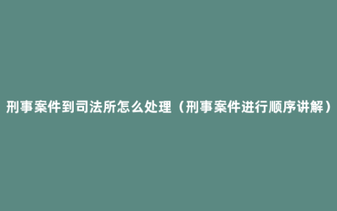 刑事案件到司法所怎么处理（刑事案件进行顺序讲解）