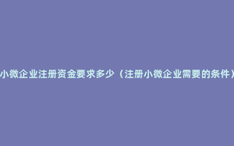 小微企业注册资金要求多少（注册小微企业需要的条件）