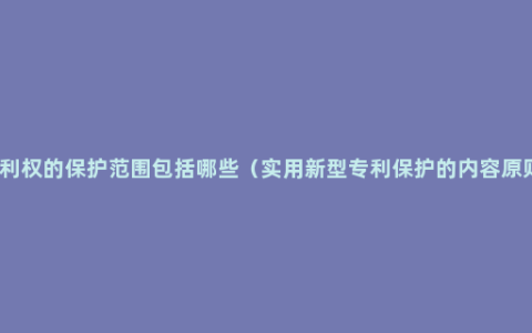 专利权的保护范围包括哪些（实用新型专利保护的内容原则）