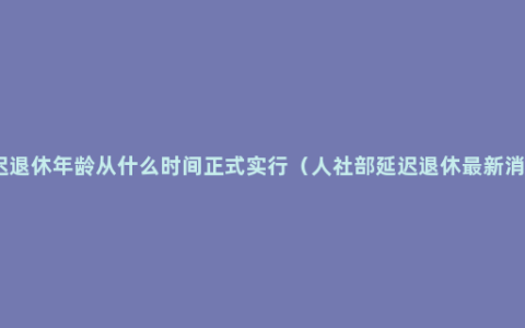 延迟退休年龄从什么时间正式实行（人社部延迟退休最新消息）