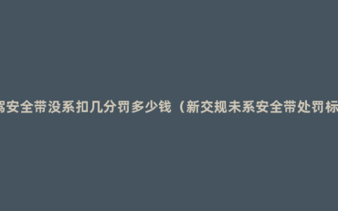 副驾安全带没系扣几分罚多少钱（新交规未系安全带处罚标准）