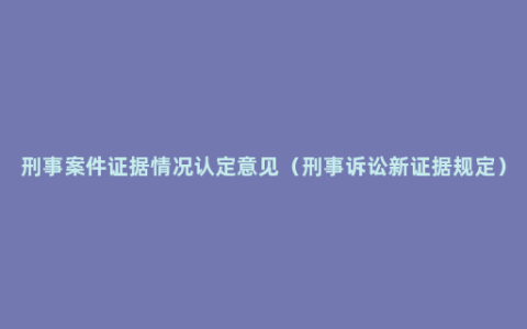 刑事案件证据情况认定意见（刑事诉讼新证据规定）