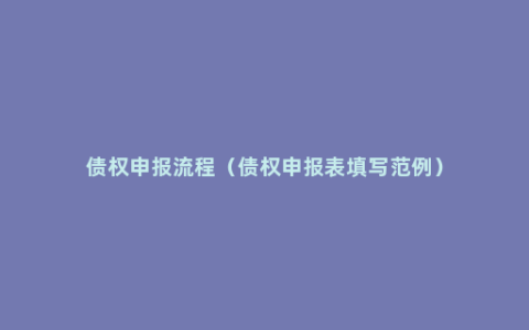 债权申报流程（债权申报表填写范例）