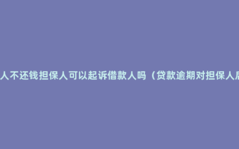 借款人不还钱担保人可以起诉借款人吗（贷款逾期对担保人后果）