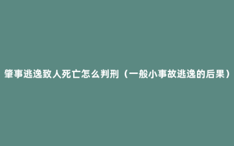 肇事逃逸致人死亡怎么判刑（一般小事故逃逸的后果）