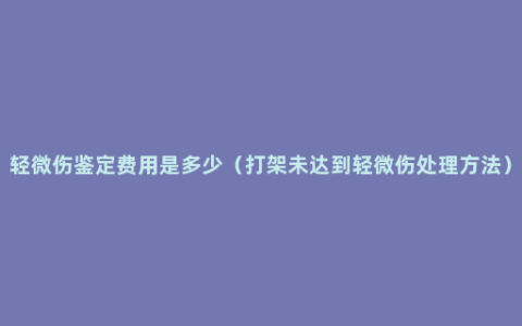 轻微伤鉴定费用是多少（打架未达到轻微伤处理方法）