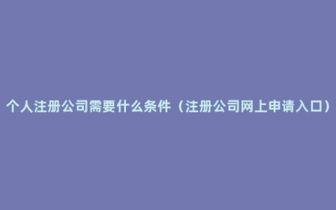 个人注册公司需要什么条件（注册公司网上申请入口）