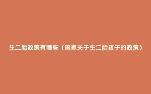 生二胎政策有哪些（国家关于生二胎孩子的政策）