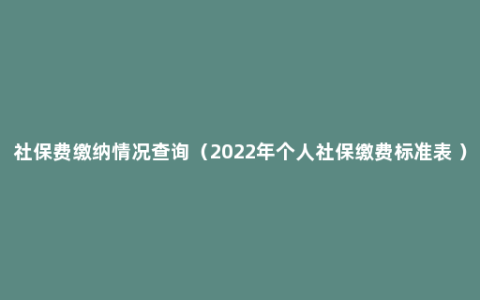 社保费缴纳情况查询（2022年个人社保缴费标准表 ）