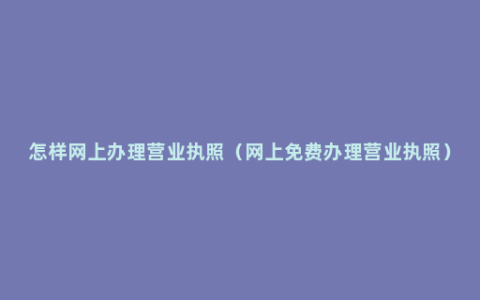 怎样网上办理营业执照（网上免费办理营业执照）