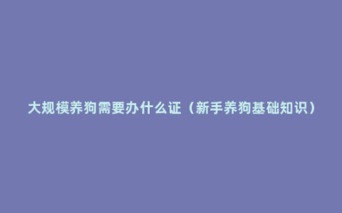 大规模养狗需要办什么证（新手养狗基础知识）