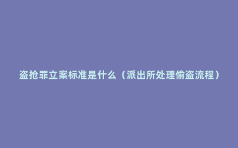 盗抢罪立案标准是什么（派出所处理偷盗流程）