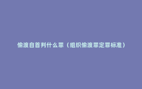 偷渡自首判什么罪（组织偷渡罪定罪标准）