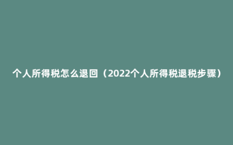 个人所得税怎么退回（2022个人所得税退税步骤）