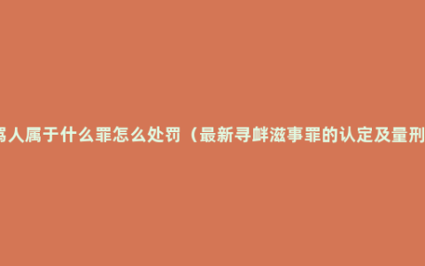 骂人属于什么罪怎么处罚（最新寻衅滋事罪的认定及量刑）