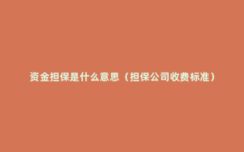 资金担保是什么意思（担保公司收费标准）