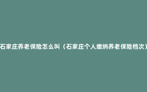 石家庄养老保险怎么叫（石家庄个人缴纳养老保险档次）