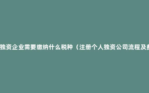 个人独资企业需要缴纳什么税种（注册个人独资公司流程及费用）