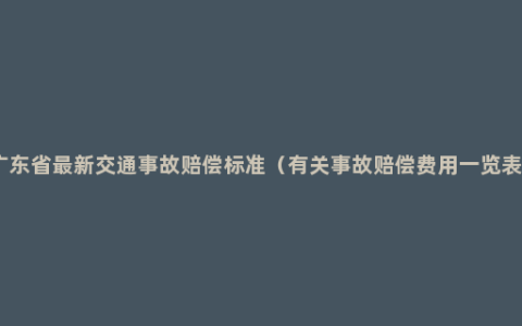 广东省最新交通事故赔偿标准（有关事故赔偿费用一览表）