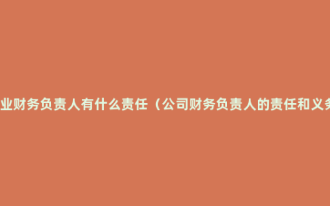 企业财务负责人有什么责任（公司财务负责人的责任和义务）