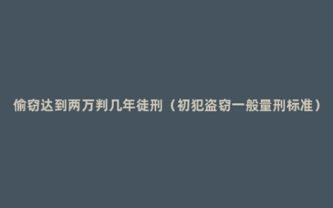 偷窃达到两万判几年徒刑（初犯盗窃一般量刑标准）