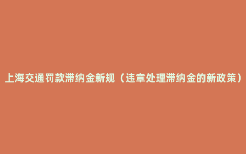 上海交通罚款滞纳金新规（违章处理滞纳金的新政策）